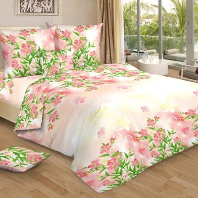 Фиалка вид 2