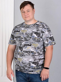 р-581